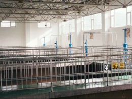 雙獎(jiǎng)加身載譽(yù)前行 我司獲評(píng)新疆輪臺(tái)機(jī)場項(xiàng)目優(yōu)質(zhì)合作企業(yè)